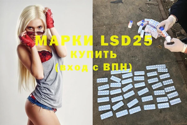 прущие грибы Абаза