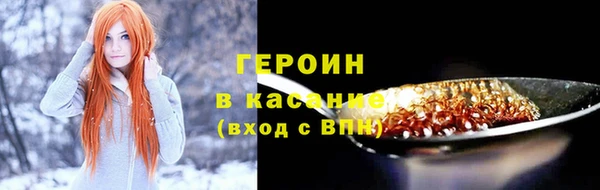 прущие грибы Абаза