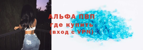 прущие грибы Абаза
