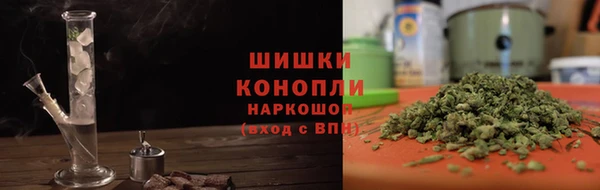 прущие грибы Абаза