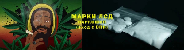 индика Медногорск