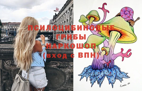 прущие грибы Абаза