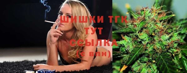 прущие грибы Абаза