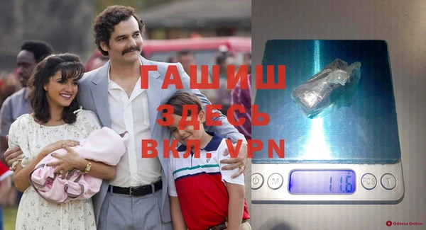 прущие грибы Абаза