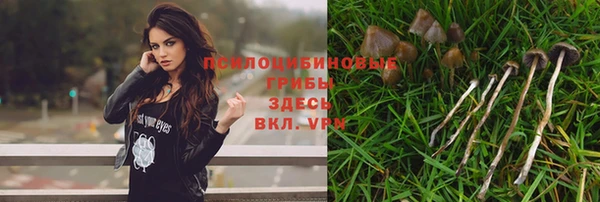 гашишное масло Абинск
