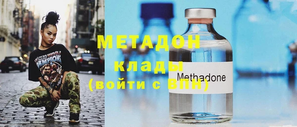 прущие грибы Абаза